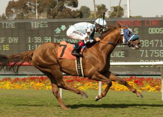 Hollywood Park: Dhaamer stirs up dreams of future turf glory by taking Round Table